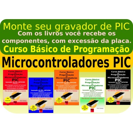 Montagem do gravador PIC